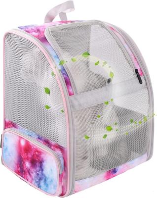 China Sustainable Good Quality Backpacks Traveling Outdoor Polarized Bubble Space Capsule Pet Cat Carrier Dog Bag Small Animal Backpack for sale