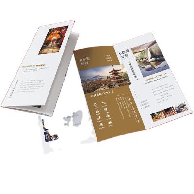 China Custom Color Printed Booklet Brochure Attractions Brochure Brochure for sale