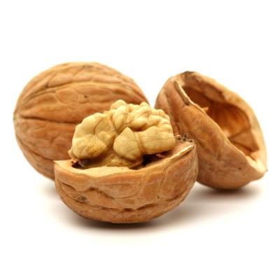 China First quality dry walnuts in shell to shell walnut price for sale