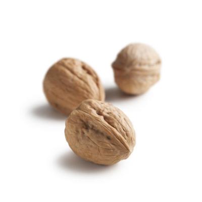 China Factory Sell Walnuts In-SHELL Dried Walnuts In Shell / Walnut Kernels for sale