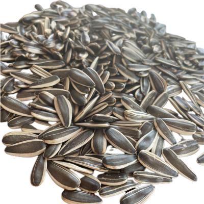 China Dry Factory Directly Sell Roasting Sunflower Seeds Sunflower Seed Roast Package for sale