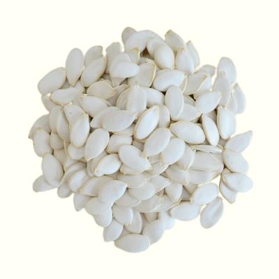 China Hot Sale Snow Pumpkin Seeds Dry White Pumpkin for sale