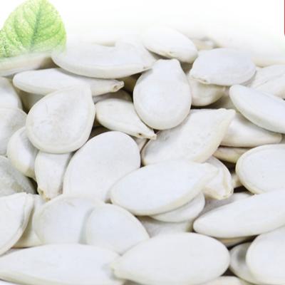 China Wholesale high quality hot sale dry salted snow white roasted pumpkin seed for sale