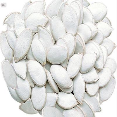 China New Growing Organic Snow White Pumpkin Seeds Wholesale Price Online for sale