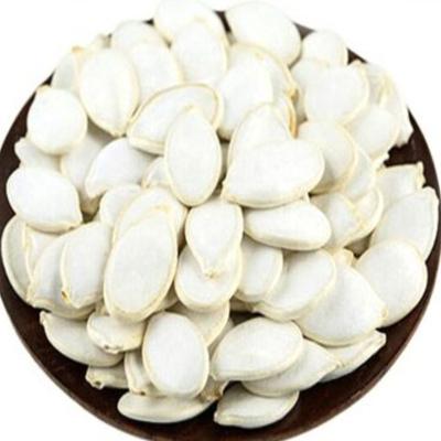 China Snow dry white pumpkin seeds price for sale for sale