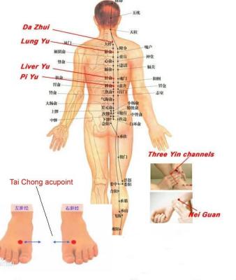 Cina piede diabetico, ulcere diabetiche del tallone, trattamento diabetico delle ulcere del piede da riabilitazione di fisioterapia in vendita