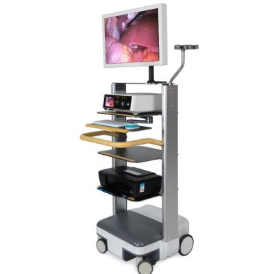 China Endoscopic Surgical Factory Support Customization Wholesale Hd 1080p Endoscope Surgical Medical Camera for sale