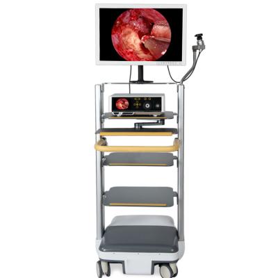 China 1080P Endoscopic Surgical Endoscopy ENT/Laparoscopy/Urinary Surgical Camera Rigid System for sale