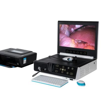 China Endoscopic Surgical ALL IN ONE HD Endoscope Camera Imaging System With Workstation Computer for sale