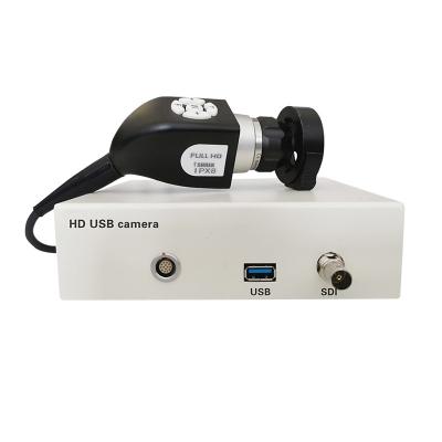 China Portable USB Optical Glass Endoscope Camera System For VET 1080P for sale