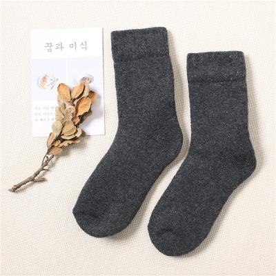 China Viable Warm Sale Winter Wool Thickening Allmatch Socks In Autumn Socks For Women Running RTS for sale