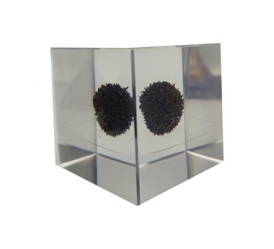 China Decotation Resin Home Cube with Immortal Plant/Dandelion Flower in Clear Acrylic for Home Decoration for sale