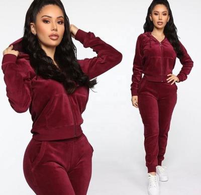 China 2022 New Arrivals Plus Size Long Sleeve Active Jogger Suit Training Sweatsuit Women Fit Hooded Velvet Gym Tracksuit for sale