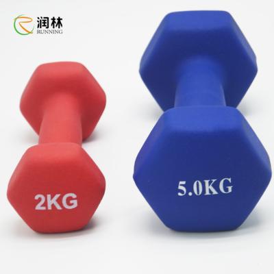 China Runlin Gym Dumbbell Set , Cast Iron 2KG Hex Dumbbells for sale