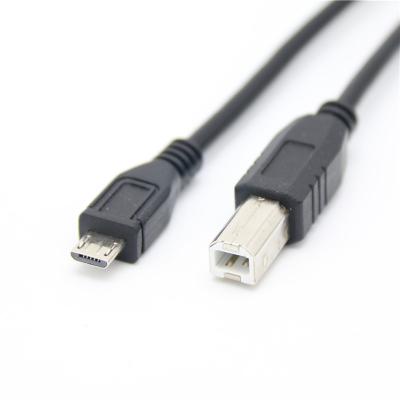 China MP3/MP4 Player Micro Usb To Type B Printer Cable Android Mobile Phone Tablet Otg Data Transfer Printing Cable for sale