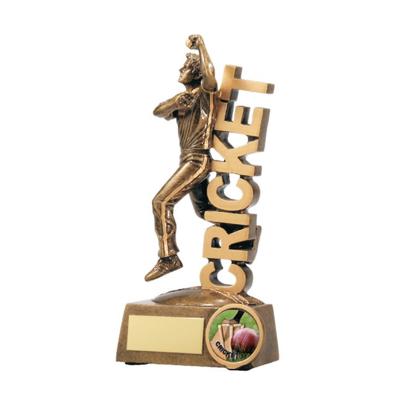 China Great Europe Cricket Bowler on Word Resin Trophy for sale