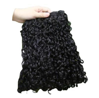 China Brazilian Pixie Curl Human Hair Extension Hair Vendor Cuticle Aligned Pulled Super Virgin Hair Extension Vendor Curl 12A Double Pixie Funmi for sale