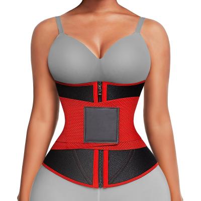 China Custom Logo Waist Trainer Antibacterial Belt Compress Fitness Women Tummy Trimmer Control Use Back Support Waist Shaper Trimmer for sale