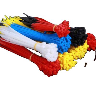 China Nylon Multiple Colors 2.5*100mm Plastic Self Locking Nylon Cable Ties for sale