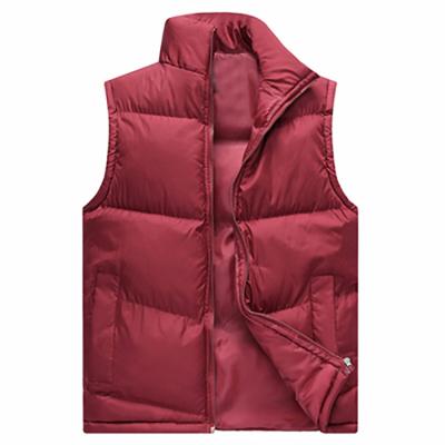 China Viable 2021Puffer Men Invest Stripper Light Vest Winter Warm Bubble Coats Zipper Up Stand Collar Vest Men Down Jacket for sale