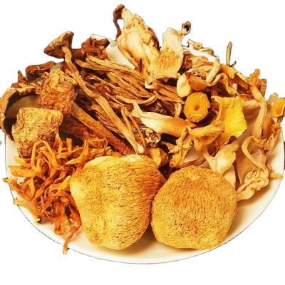 China Dried Best Quality Mixed Bags Agaricus militaris Cordyceps Red Matsutake Tea Tree Mushroom Hericium Chanterelles for sale