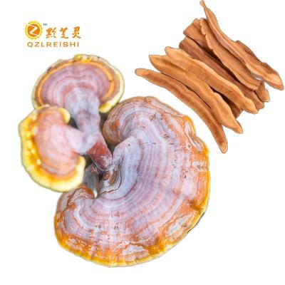 China Dried High-quality wild organically cultivated whole Ganoderma lucidum dried Reishi mushroom fungus entity for sale