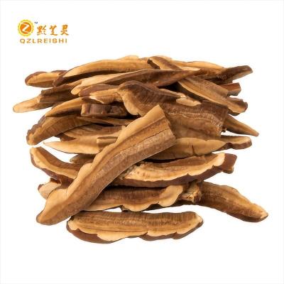 China Dried immunity boosters Dried Whole Organic Ganoderma Lucidum of Reishi Mushroom Red Fruiting Body Slices Lingzhi OEM for sale