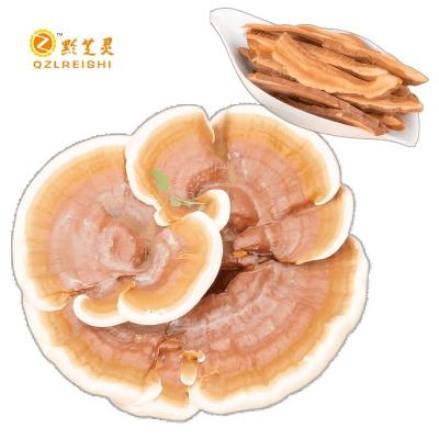 China Dried Wholesale Whole Plant Sliced Reishi Mushroom Ganoderma Lucidum Mushroom  Enhance Immunity Health Tea for sale