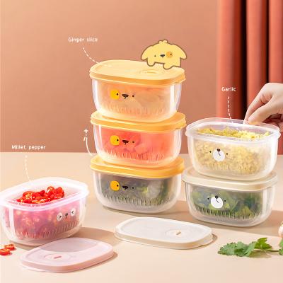 China Freshness Preservation Kitchen Refrigerator Saver Storage Food Sealed Storage Box Scallion Ginger Fresh-keeping Box for sale