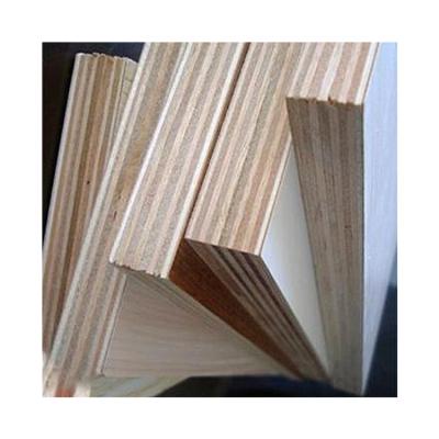 China 18mm modern high quality film faced plywood for construction for sale