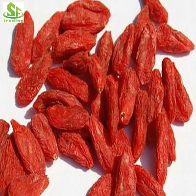 China Organic and Natural Wolfberry Goji, Loose Tea Qinghai Dried Famous Goji Berry for sale