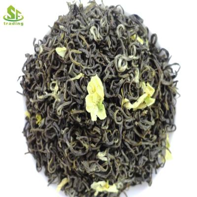 China Loose Tea Best Selling Jasmine Green Tea Fresh Taste Jasmine Tea for sale