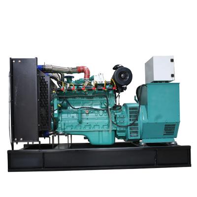 China Livestock and pig manure organic waste 30kw biogas generator set price HT-30GF for sale