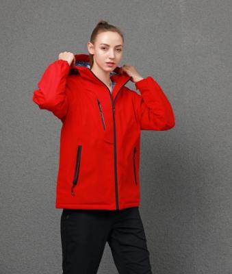 China 2022 Team Design Wholesale Custom Casual Waterproof Zipper Thickened Winter Outdoor Jackets Good Quality Outdoor Jackets for sale