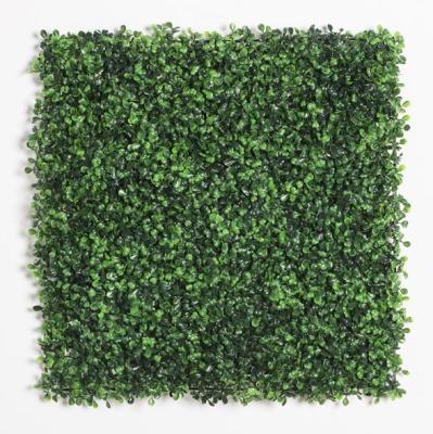 China Wholesale 50*50 Eco-friendly Outdoor Decorative Outdoor Decorative UV Protected Artificial Grass Wall Boxwood Board Vertical Headge Green Plant for sale