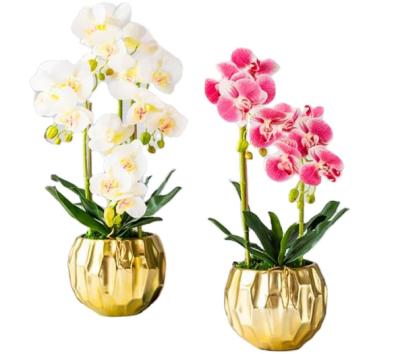 China New Style Real Touch Eco-friendly Potted Phalaenopsis Artificial Dendrobium Orchid Pot Flower for sale