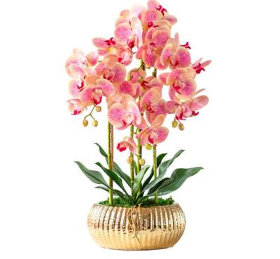 China New Style PVC Real Touch 3D Phalaenopsis Flower Gold Luxury Potted Artificial Dendrobium Plant Artificial Orchid In Pot for sale