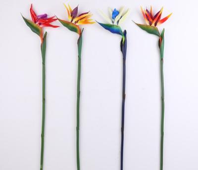 China Wholesale High Quality Colorful PVC PU Touch Artificial Flower Real Bird Of Paradise Flowers for sale