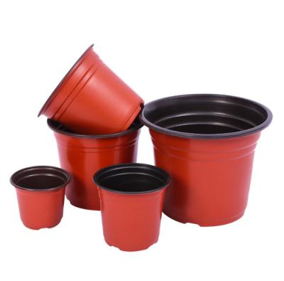 China Planting Succulents Nursery Flower Pot Nursery Seedling Good Price Plastic Flower Pot Planter Graft for sale