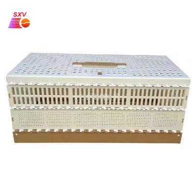 China Viable Plastic Pigeon Flight Training ABS Box Cage Carrier Bird Pigeon Product Folding Pet Cage for sale