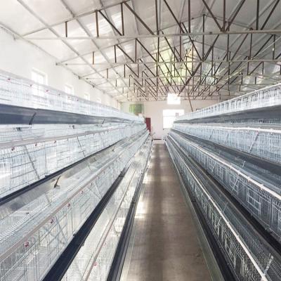 China Farms Poultry Farm Equipment 3/4 Layer One Type Egg Laying Hen Layer Chicken Cage for sale