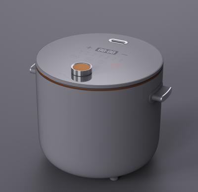 China Small Family Rice Cooker 1.0L Mini Size Simple And Fashionable Rice Cooker Rice Cooker Korea Fashionable Design for sale