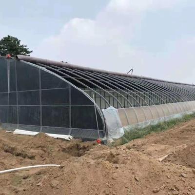 China Stable structure easily assembled hot sale high strength skeleton plastic sheets in from Europe and America Chinese agricultural greenhouse high quality for sale for sale