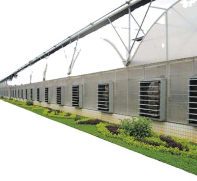 China Stable and easy to install external shading multi span greenhouse flower seedling ploy multi-span greenhouse for sale