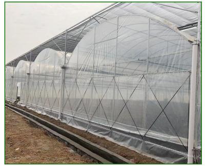 China Stable Structure Easily Assembled Wholesale Cheap High Quality Agriculture Greenhouse Professional Chinese Multi Span Greenhouse for sale