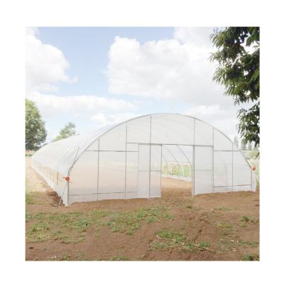 China PE Green House Greenhouse In Good Quality And Favorable Price Single Tunnel Multi Span for sale