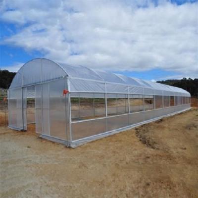 China PE Farm Tunnel Green House Ease Of Installation for sale