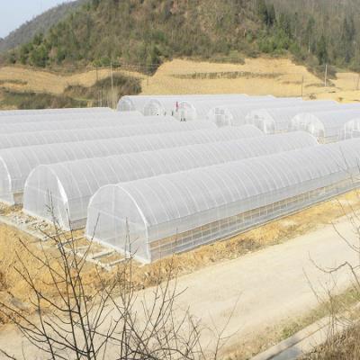 China PE Clear Protection Plastic Sheet Agricultural UV Green House for sale