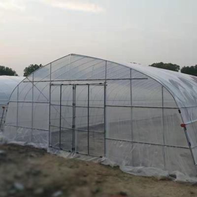 China Stable Structure Easily Assembled Low Cost Commercial Plastic Sheet Greenhouse Easy To Install Small Greenhouses Tunnel Greenhouse For Home Use for sale