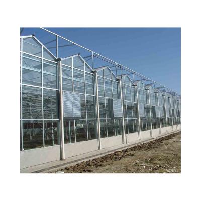 China Wholesale Agriculture Hydroponic Planting Large PE Can Be Customized Single Layer Greenhouse Greenhouse Strawberry Green House for sale